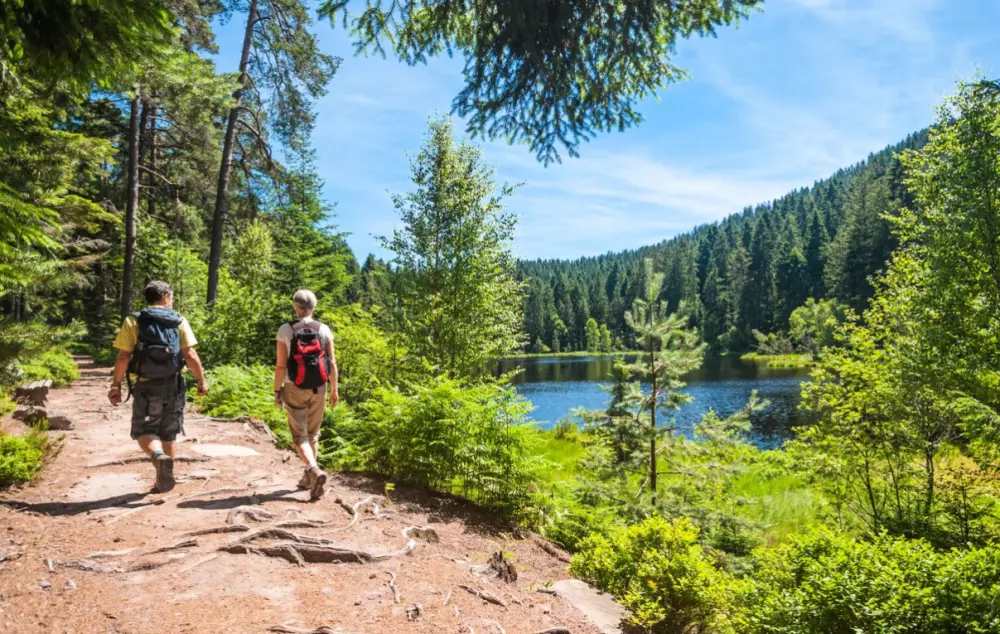 AlpResort Portes du Soleil 4 étoiles★★★★