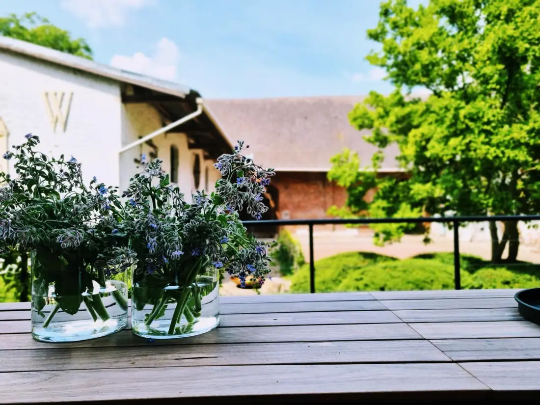Maison de Vacances ABSCON 2