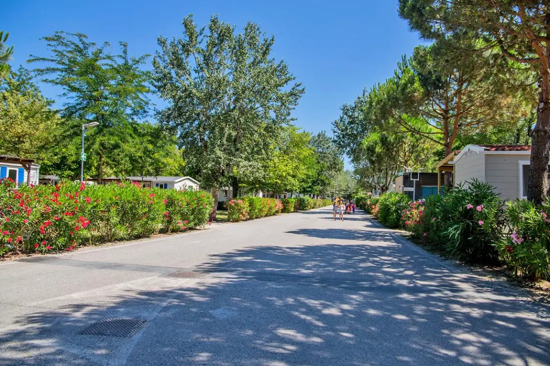 Camping Marina Family Village