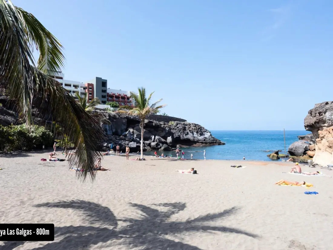 Location de Vacances Adeje 58