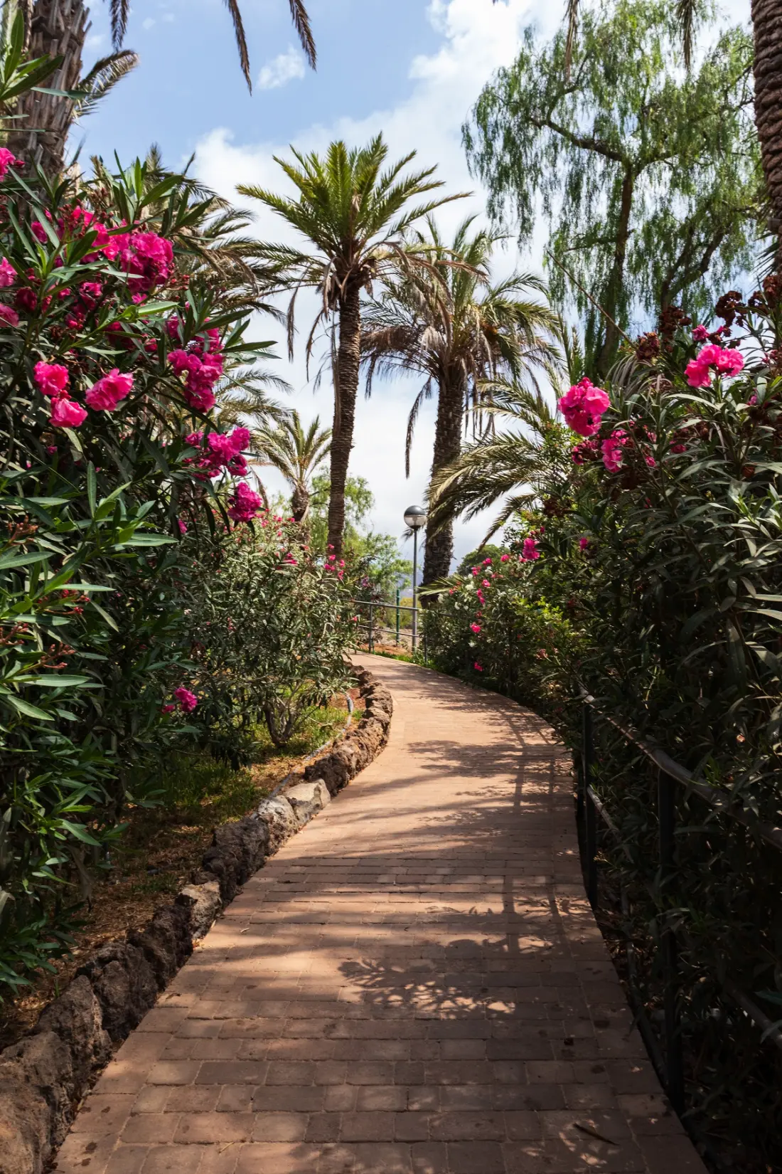Résidence Pierre & Vacances Marazul del Sur