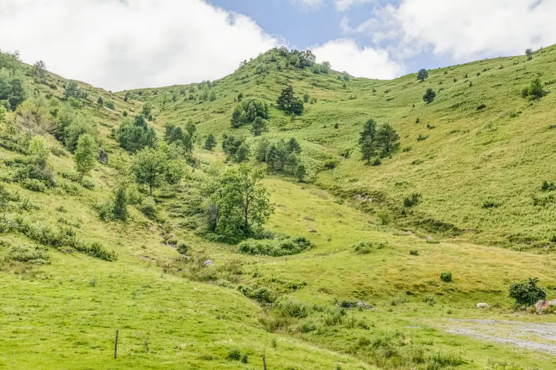 Chalets à Adervielle-Pouchergues