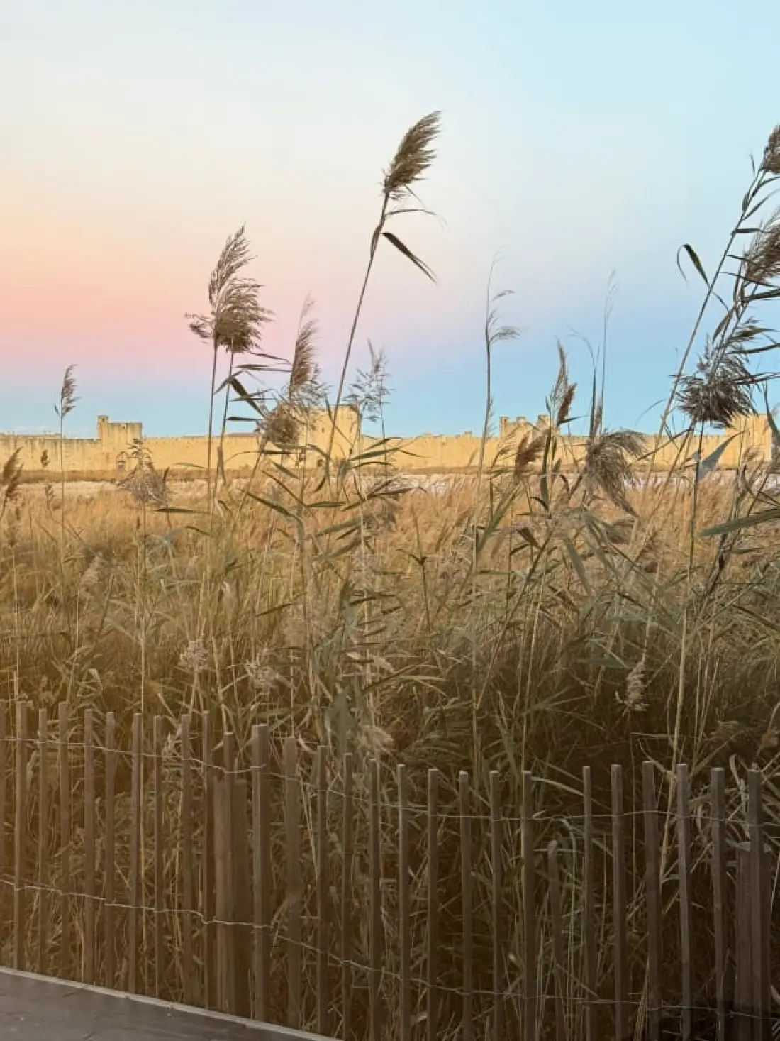 Résidence La Perle Rose Villa Standing 5 étoiles Avec Piscine Jacuzzi Et Superbe Vue