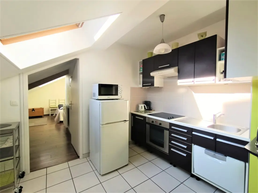 Location de Vacances Aix-les-Bains 169