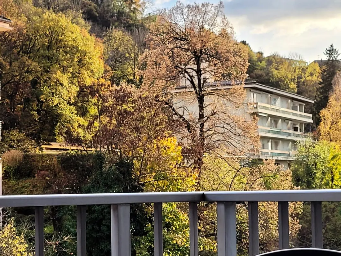 Location de Vacances Aix-les-Bains 188