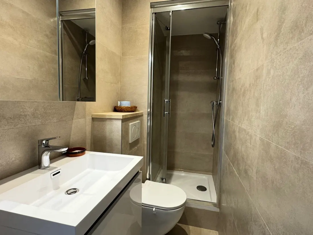 Location de Vacances Aix-les-Bains 244