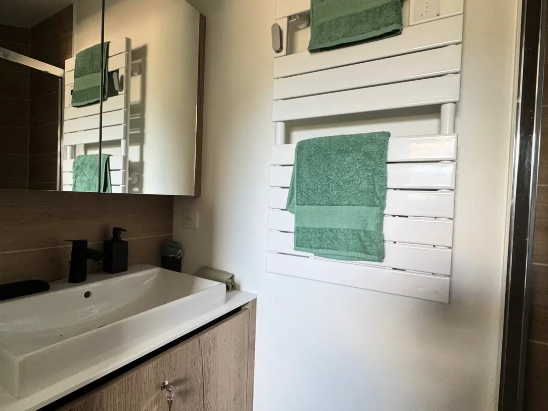 Location de Vacances Aix-les-Bains 250