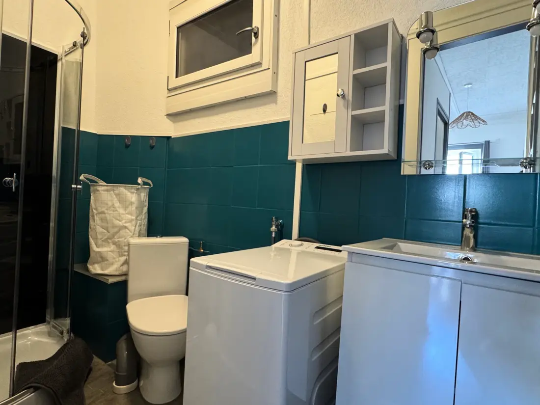 Location de Vacances Aix-les-Bains 252