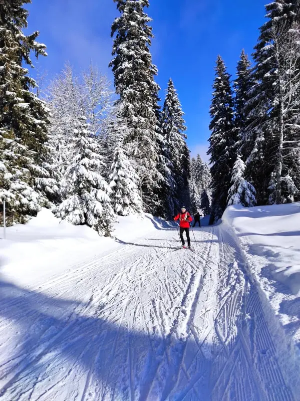 T4 5 Personnes à 300m Du Lac