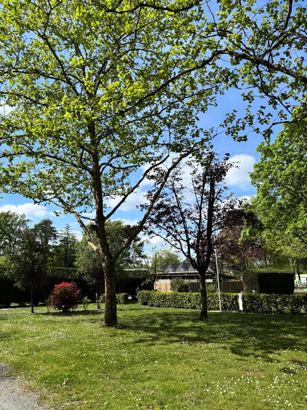 Camping La Forêt 3 étoiles★★★