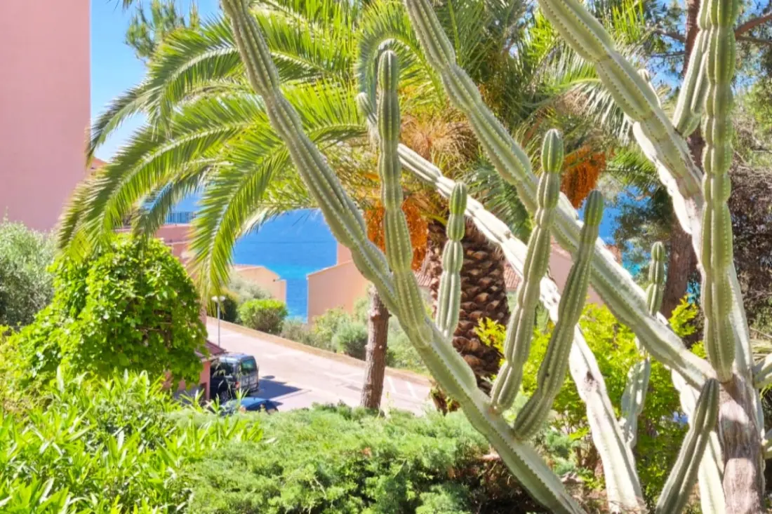 Studio Vue Mer Et Jardin à 10 Min Des Plages
