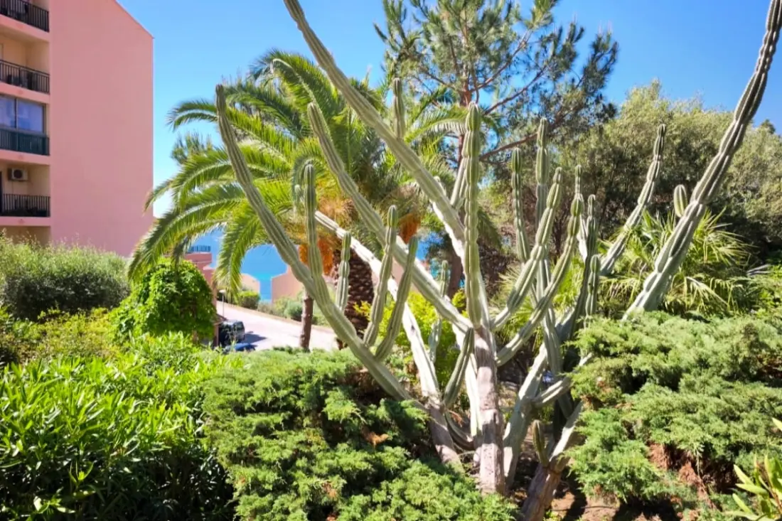 Studio Vue Mer Et Jardin à 10 Min Des Plages