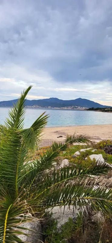 Appartement Lumineux à Agosta, 100m De La Plage