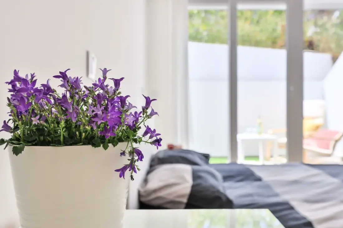 Alfamar Inês Apartment