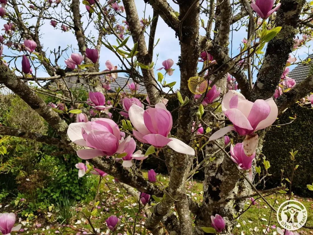 Gîte de France Les hortensias 3 épis