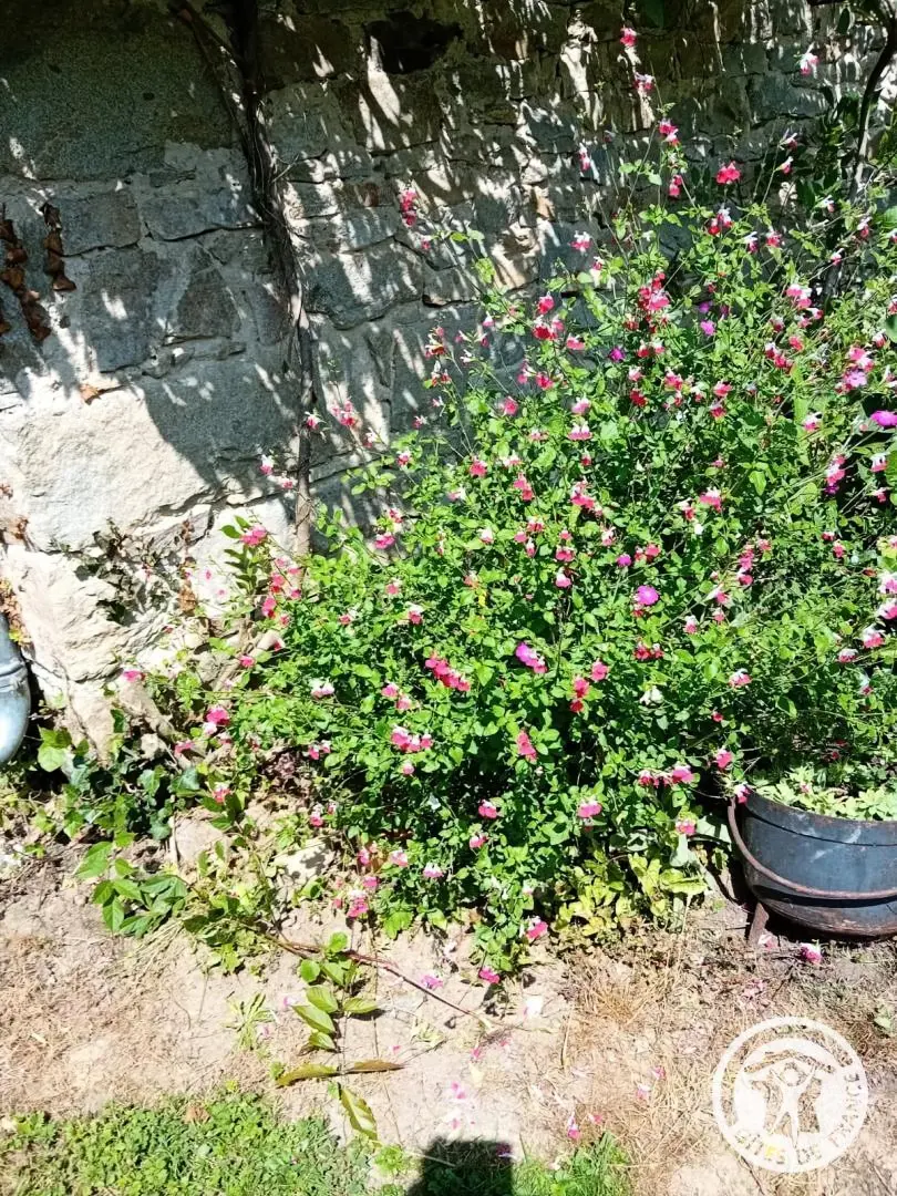 Gîte de France Les hortensias 3 épis