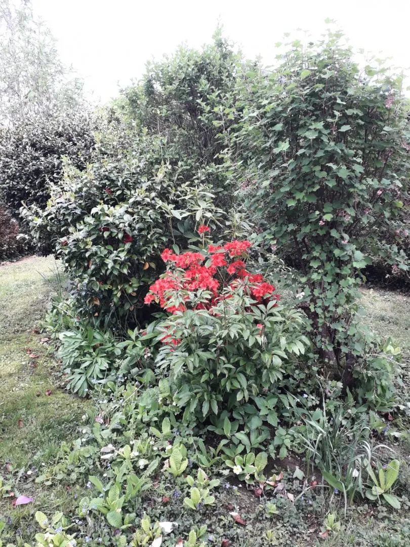Gîte de France Les hortensias 3 épis