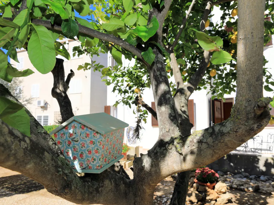 Maison de Vacances Alcúdia 119