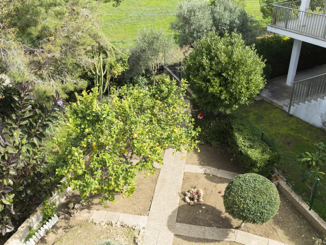 Maison de Vacances Alcúdia 119