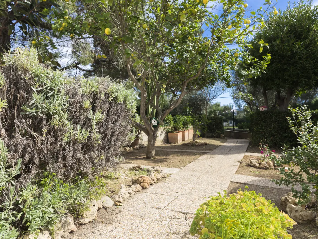 Maison de Vacances Alcúdia 119