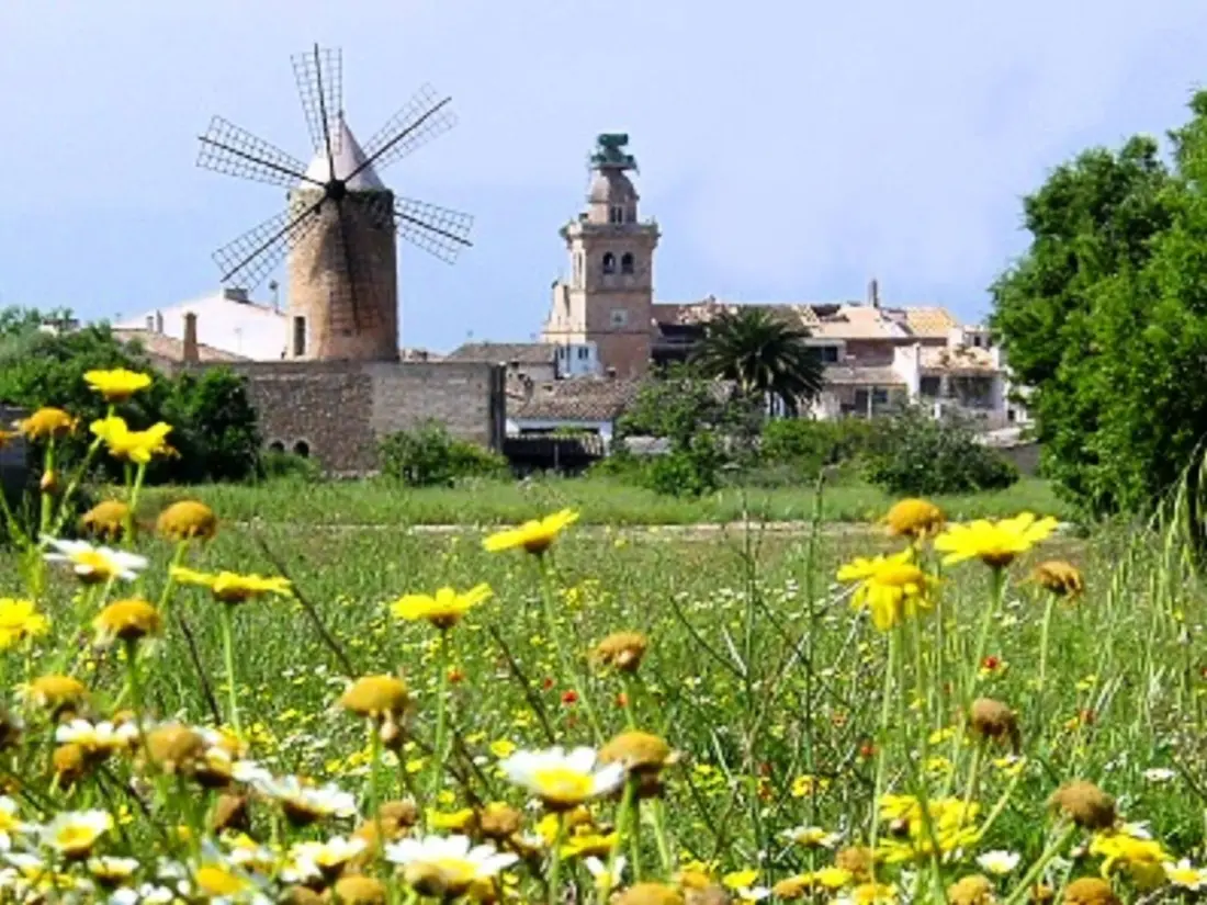 Maison de Vacances Algaida 23