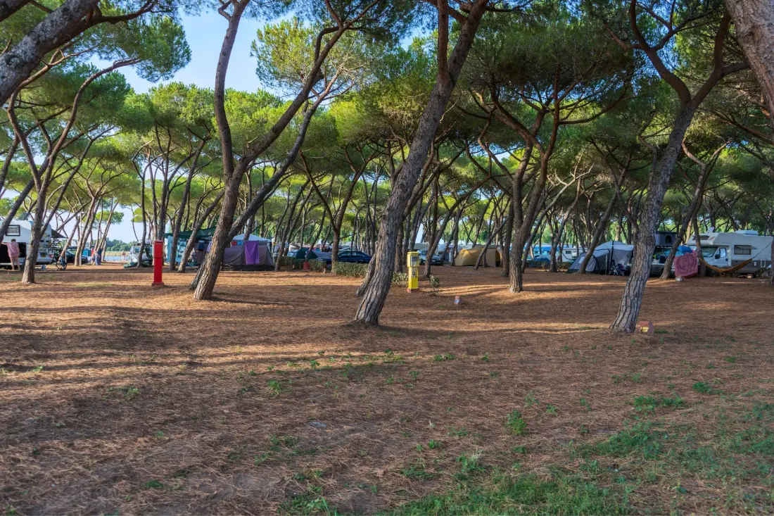 Baia Holiday Laguna Blu 4 étoiles★★★★