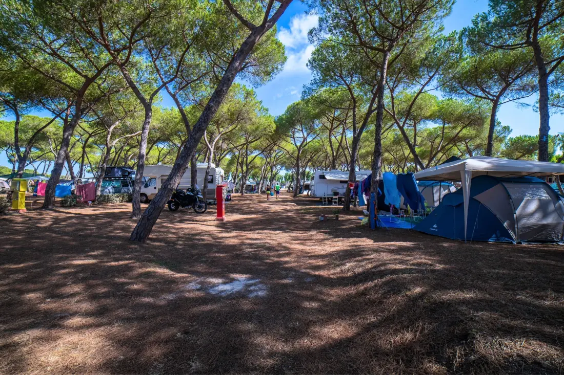 Baia Holiday Laguna Blu 4 étoiles★★★★