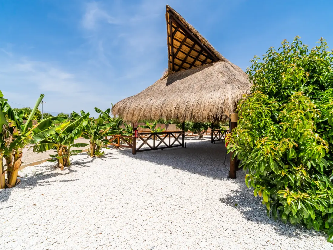 Location de Vacances Alhaurin El Grande 129