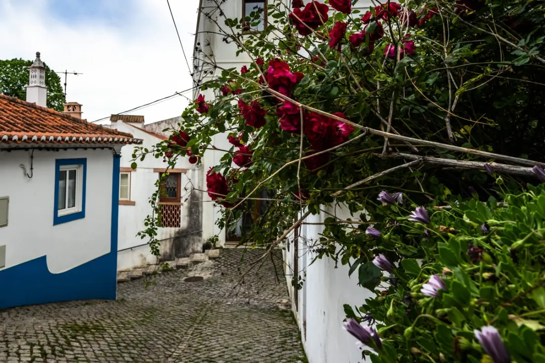 Casa Do Amor