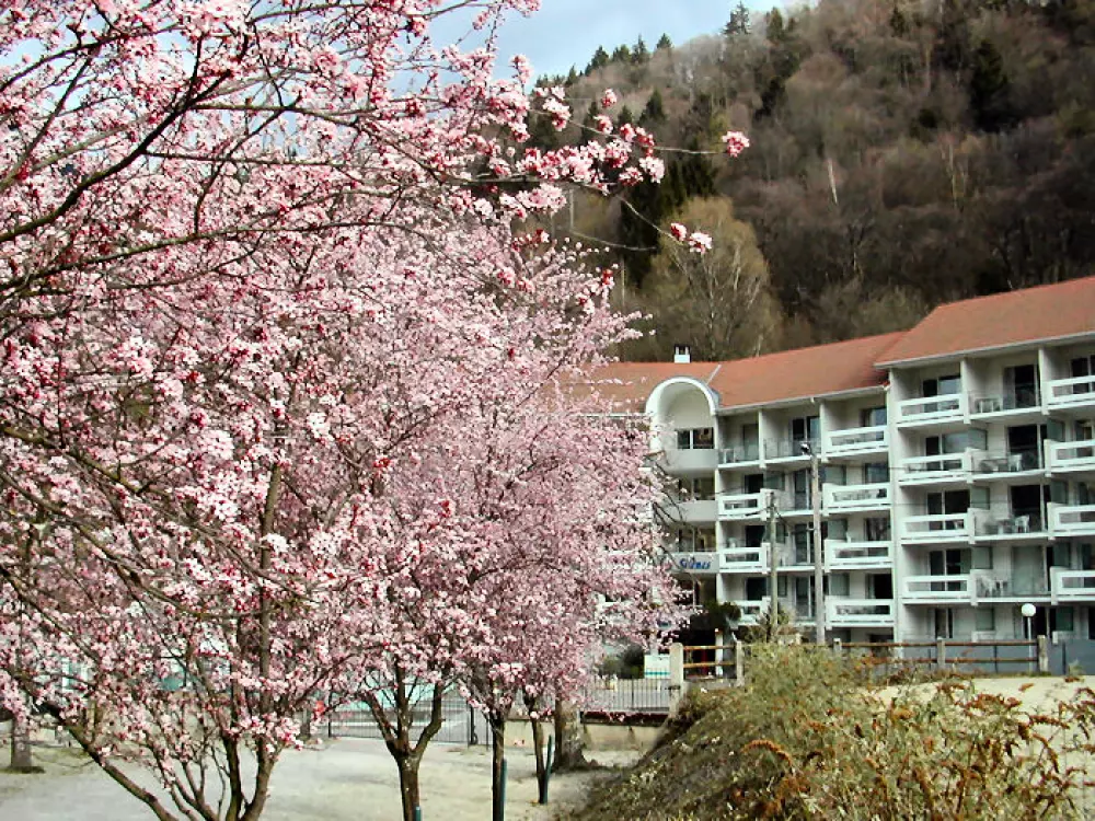 _Résidence Les Silènes