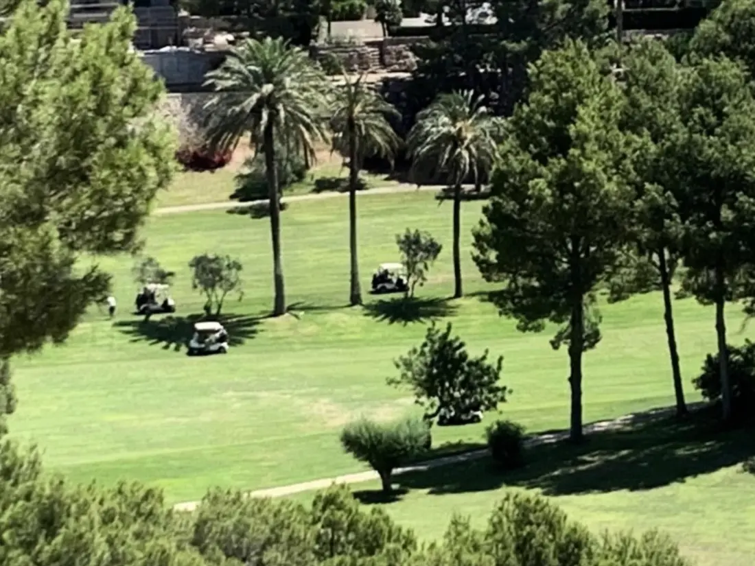Location de Vacances Altea 40