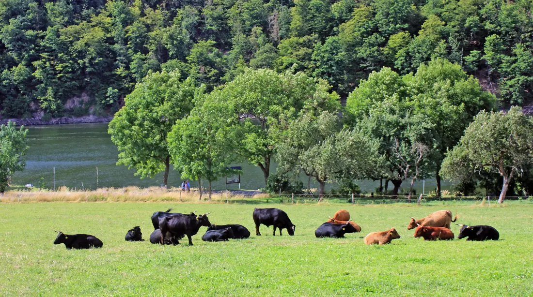 Hohenwarter Seehof