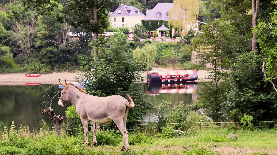 Hohenwarter Seehof