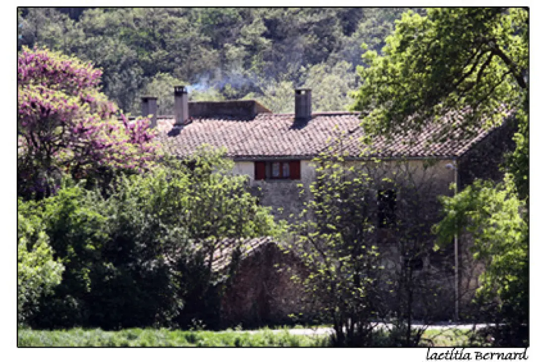 Gîte de France à Alzonne  1