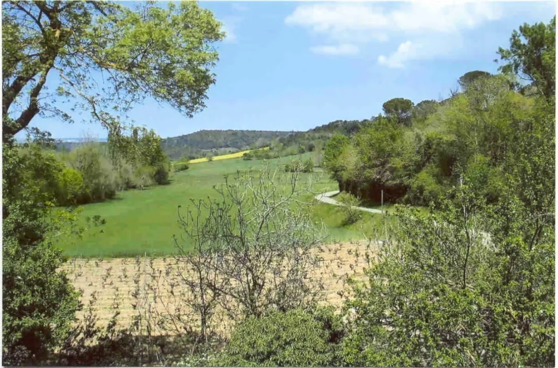 Gîte de France à Alzonne  1