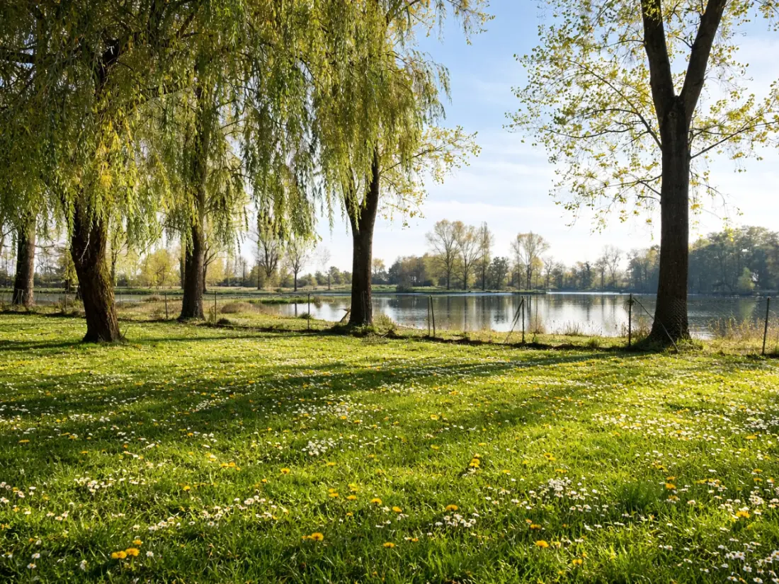 Camping Oasis des Dombes 3 étoiles★★★