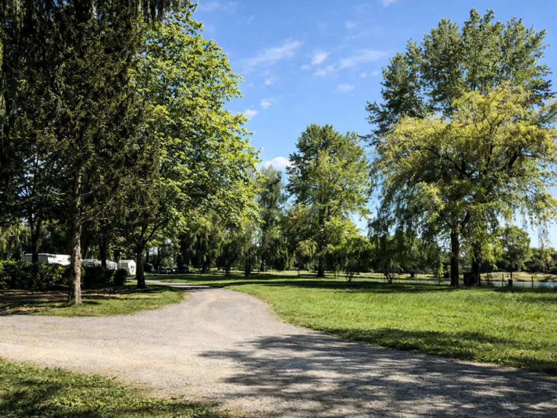 Camping Oasis des Dombes 3 étoiles★★★
