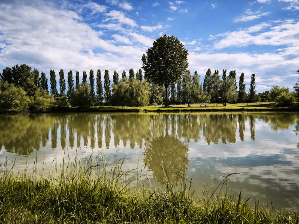 Camping Oasis des Dombes 3 étoiles★★★