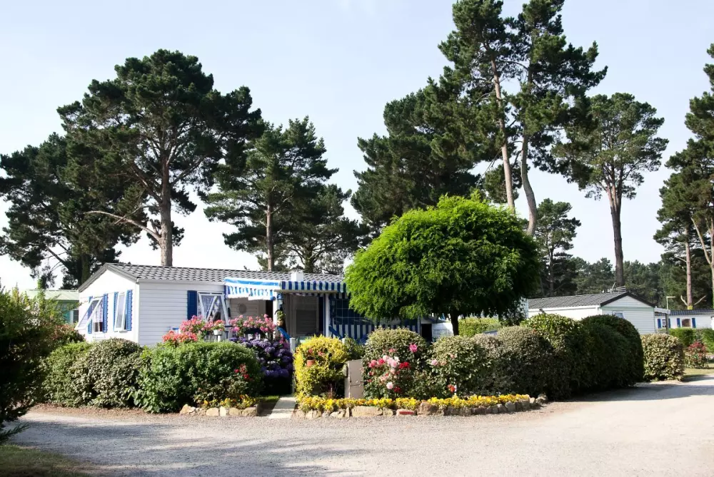 Camping Paradis Arvor 31 étoiles★