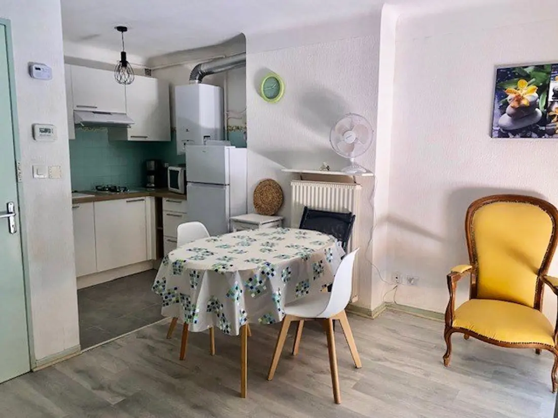 Location de Vacances Amélie-les-Bains-Palalda 100