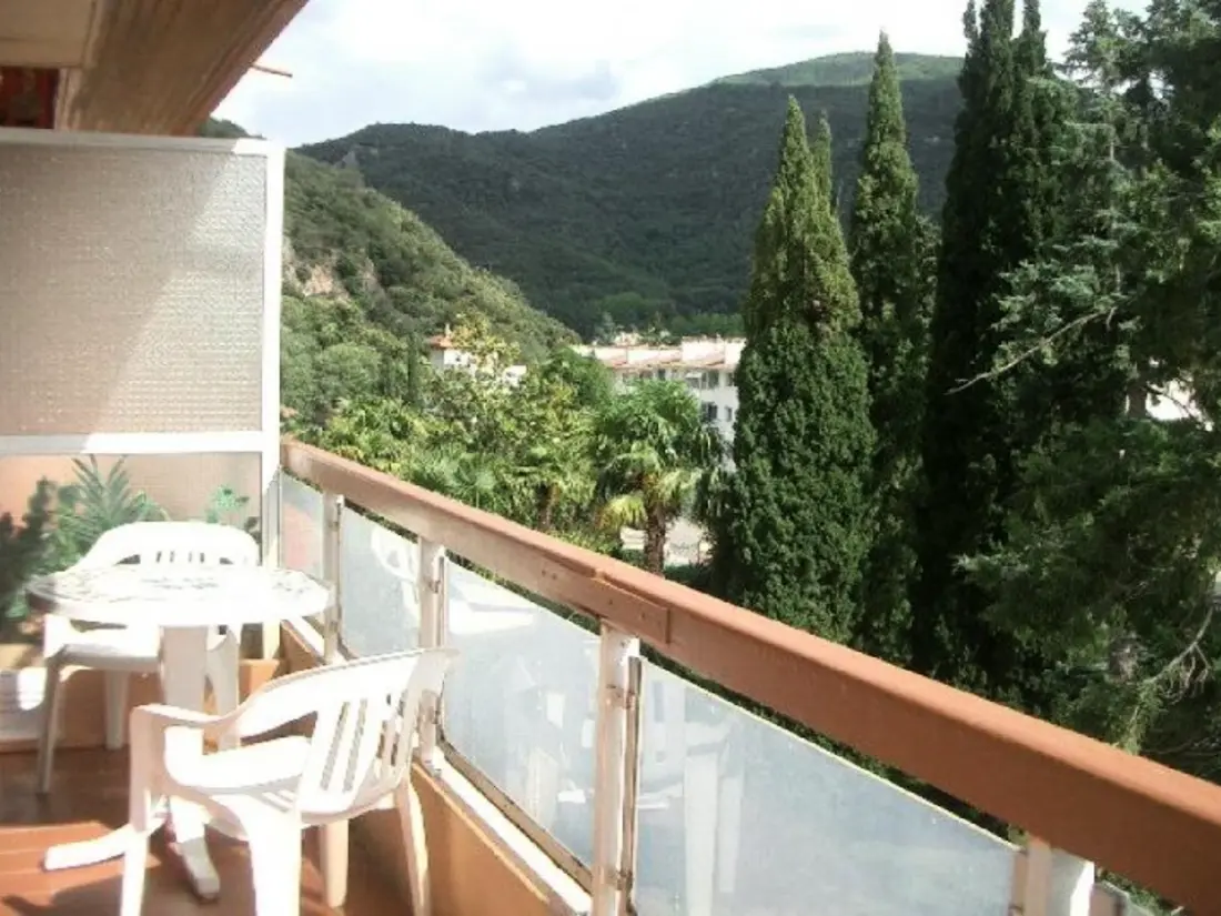 Location de Vacances Amélie-les-Bains-Palalda 100