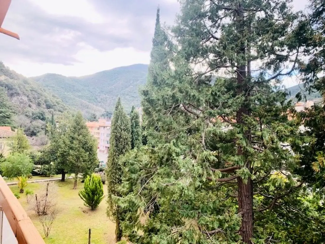 Location de Vacances Amélie-les-Bains-Palalda 100