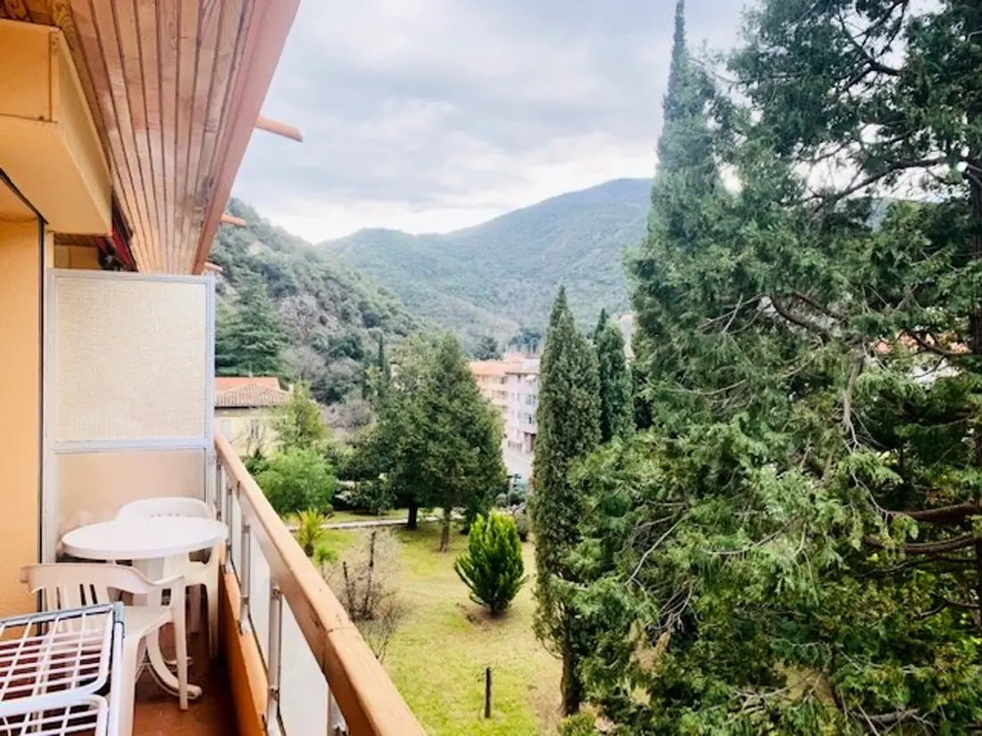 Location de Vacances Amélie-les-Bains-Palalda 100