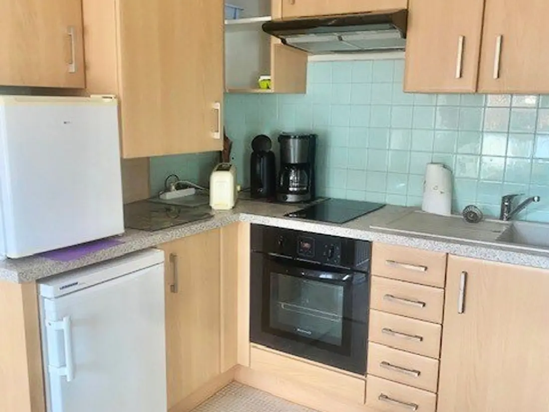 Location de Vacances Amélie-les-Bains-Palalda 103