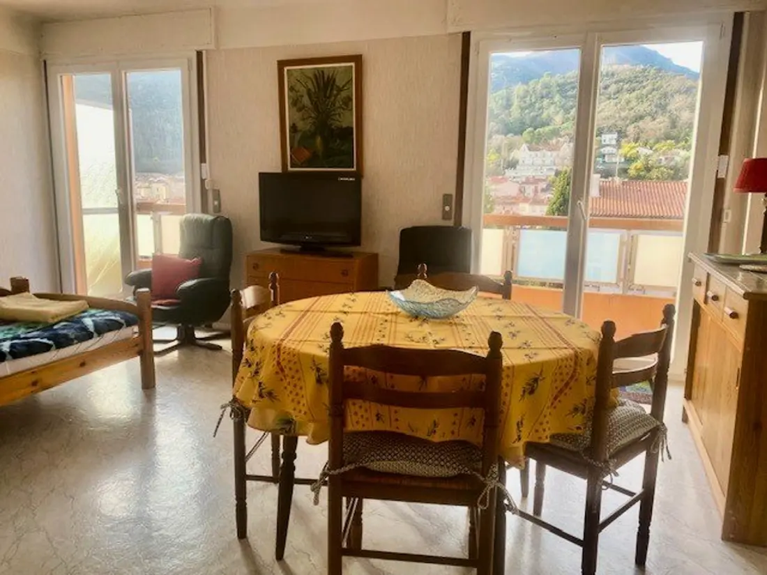 Location de Vacances Amélie-les-Bains-Palalda 103
