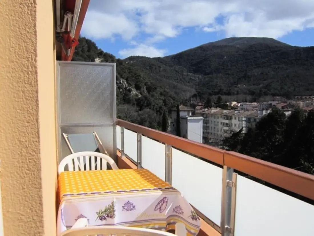 Location de Vacances Amélie-les-Bains-Palalda 103