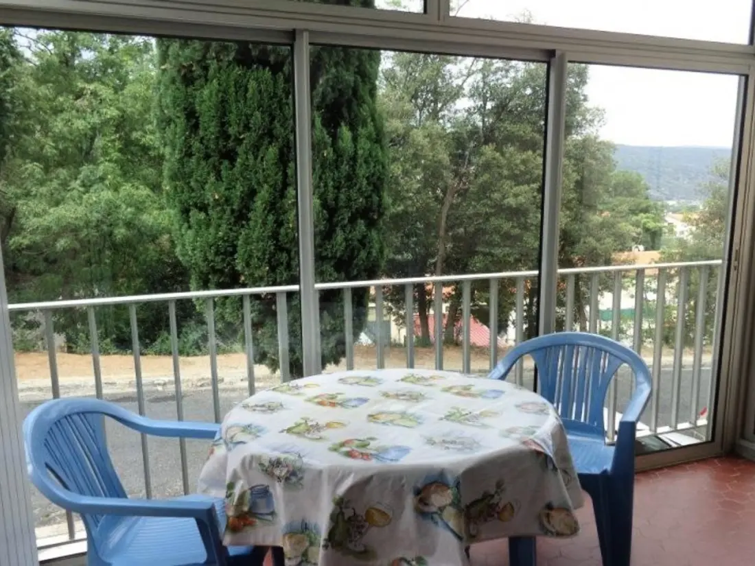 Location de Vacances Amélie-les-Bains-Palalda 105