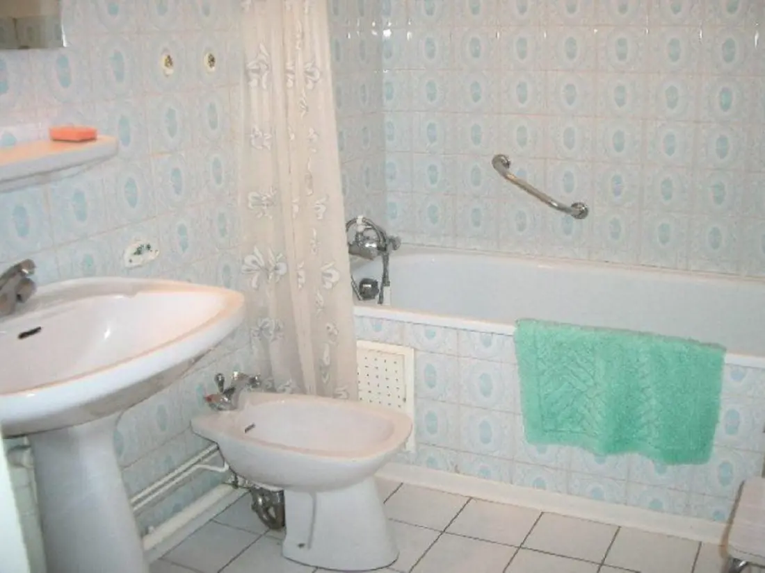 Location de Vacances Amélie-les-Bains-Palalda 113