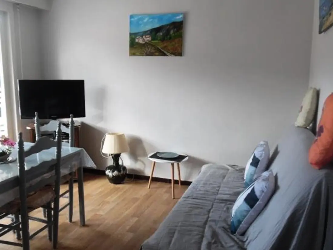 Location de Vacances Amélie-les-Bains-Palalda 113