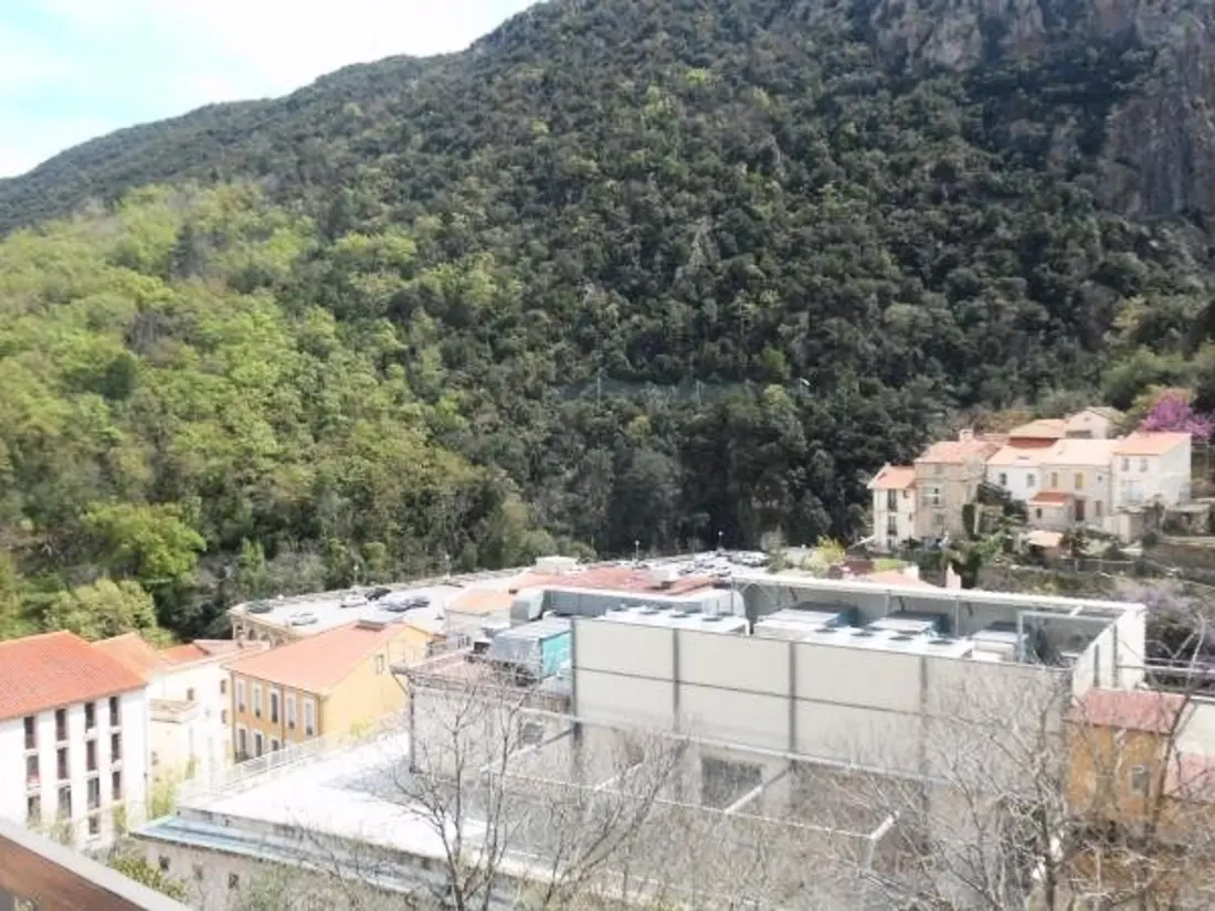 Location de Vacances Amélie-les-Bains-Palalda 122